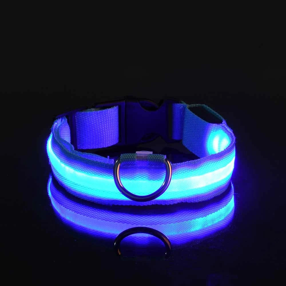 LED Glow-in-the-Dark Dog Collar & Leash | PuppyPaw™