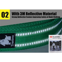 Reflective Padded Dog Leash – 3M Mesh Handle | PuppyPaw™