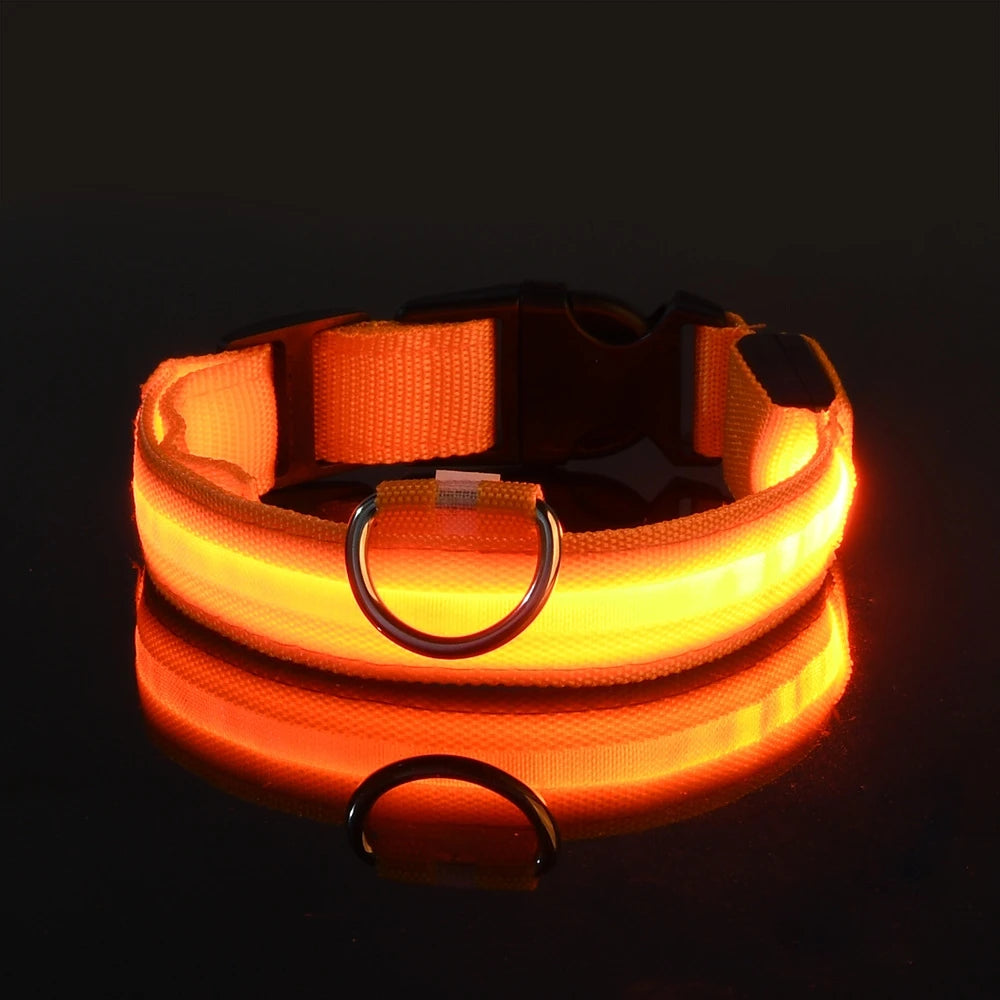 LED Glow-in-the-Dark Dog Collar & Leash | PuppyPaw™