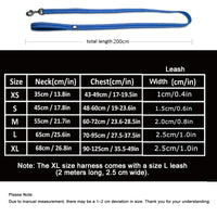 No-Pull Dog Harness & Leash Set – Padded Reflective | PuppyPaw™