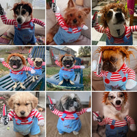 Dog Halloween Costume Pullover – Party Outfit | PuppyPaw™