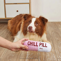 Squeaky Plush Pill Dog Toy – Bite-Resistant Chew | PuppyPaw™