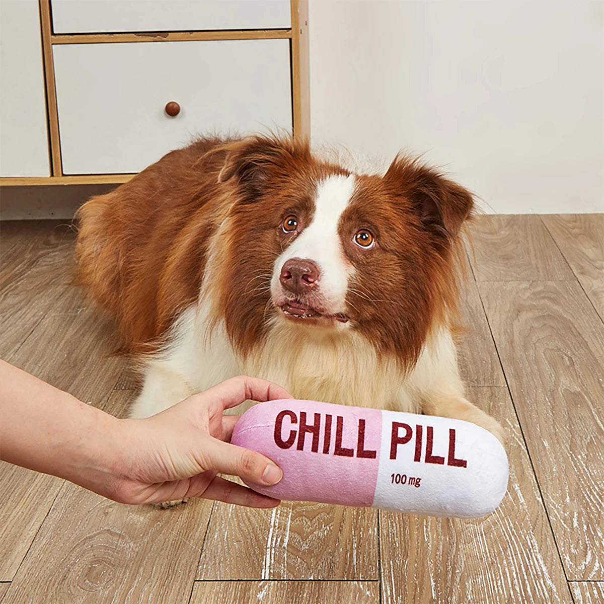 Squeaky Plush Pill Dog Toy – Bite-Resistant Chew | PuppyPaw™