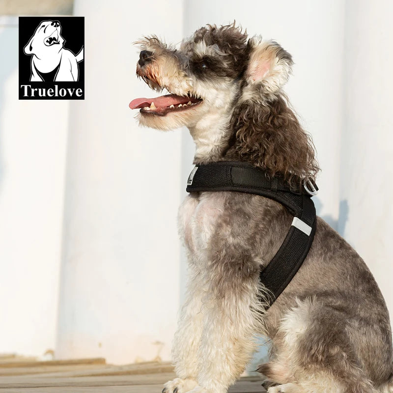 Step-In Dog Harness – Cooling Air-Mesh | PuppyPaw™