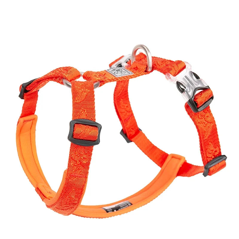 Trail Runner No-Pull Dog Harness – Neoprene Padded | PuppyPaw™