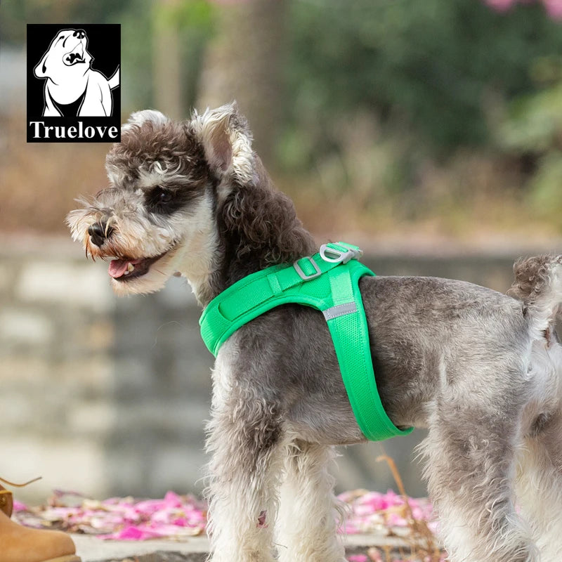 Step-In Dog Harness – Cooling Air-Mesh | PuppyPaw™
