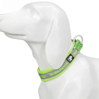 Reflective Nylon Dog & Cat Collar – Neoprene Padded | PuppyPaw™