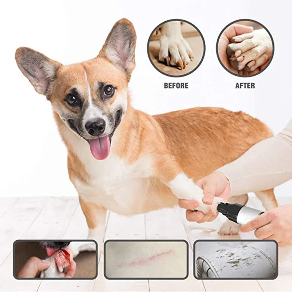 Electric Pet Nail Grinder – Diamond Bit Replaceable | PuppyPaw™