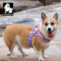 Step-In Dog Harness – Cooling Air-Mesh | PuppyPaw™
