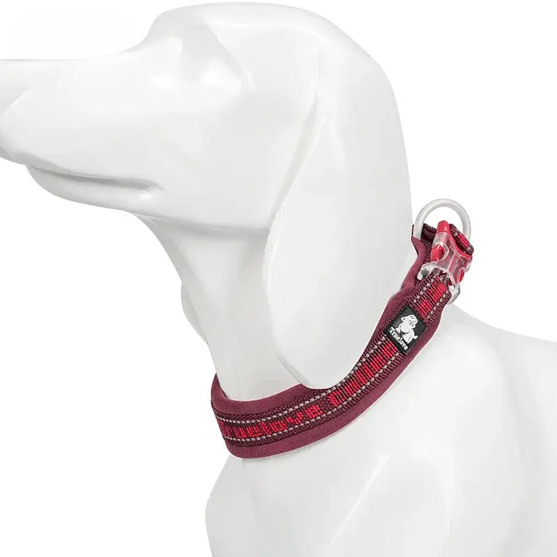 Reflective Nylon Dog & Cat Collar – Neoprene Padded | PuppyPaw™