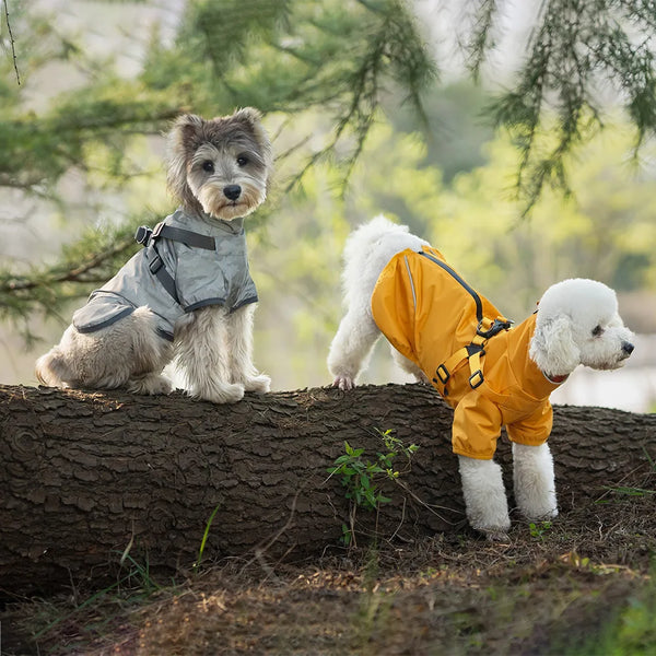 Dog Rain Jacket with Harness – Reflective | PuppyPaw™