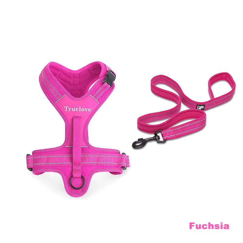 No-Pull Dog Harness & Leash Set – Padded Reflective | PuppyPaw™