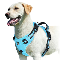 No-Pull Dog Vest Harness – Padded & Adjustable | PuppyPaw™