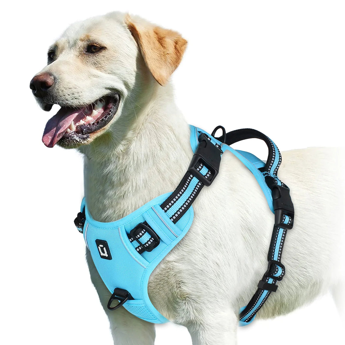 No-Pull Dog Vest Harness – Padded & Adjustable | PuppyPaw™