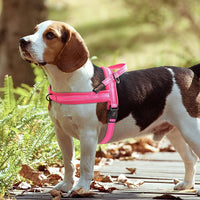 Padded Dog Harness Vest – Reflective Winter Warm | PuppyPaw™