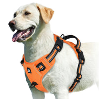 No-Pull Dog Vest Harness – Padded & Adjustable | PuppyPaw™