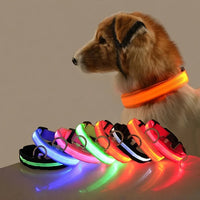 LED Glow-in-the-Dark Dog Collar & Leash | PuppyPaw™