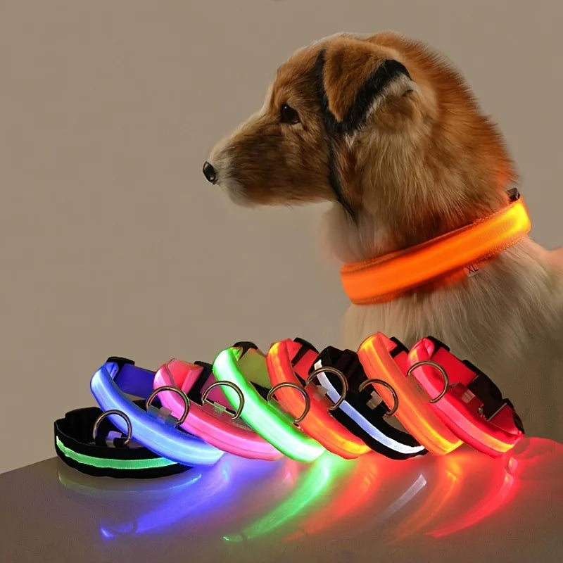 LED Glow-in-the-Dark Dog Collar & Leash | PuppyPaw™