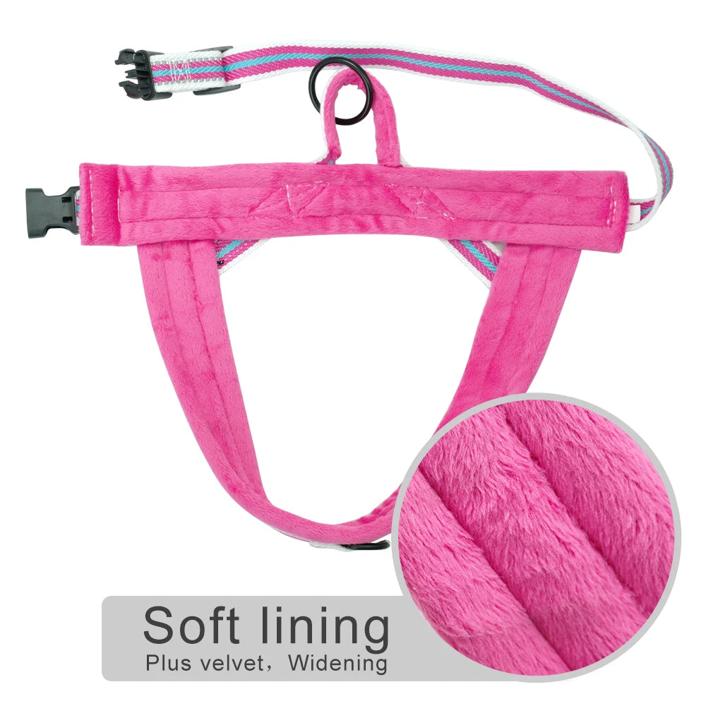 Padded Dog Harness Vest – Reflective Winter Warm | PuppyPaw™