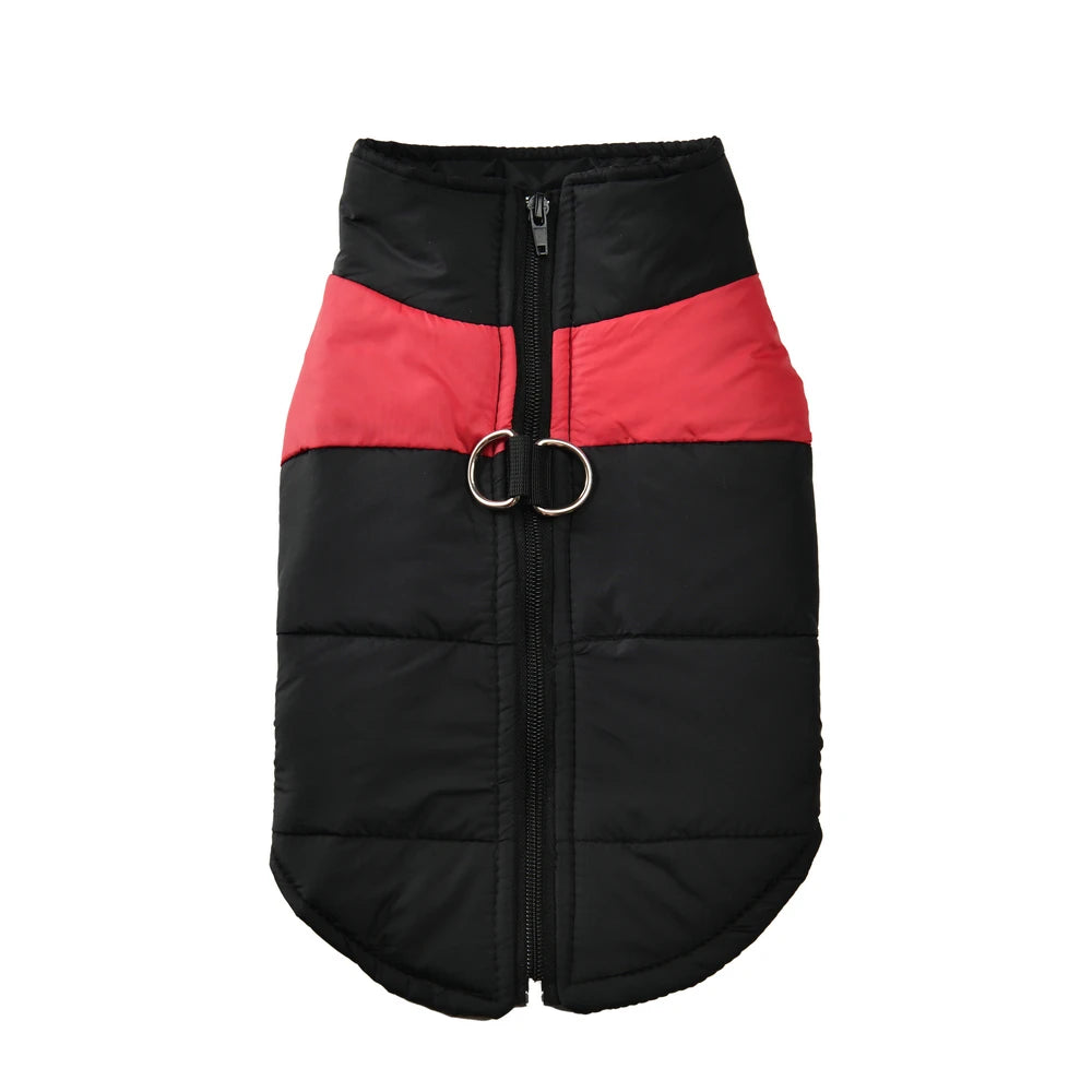 Windproof Waterproof Dog Jacket – D-Ring | PuppyPaw™