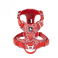 No-Pull Reflective Dog Harness – Back Handle | PuppyPaw™