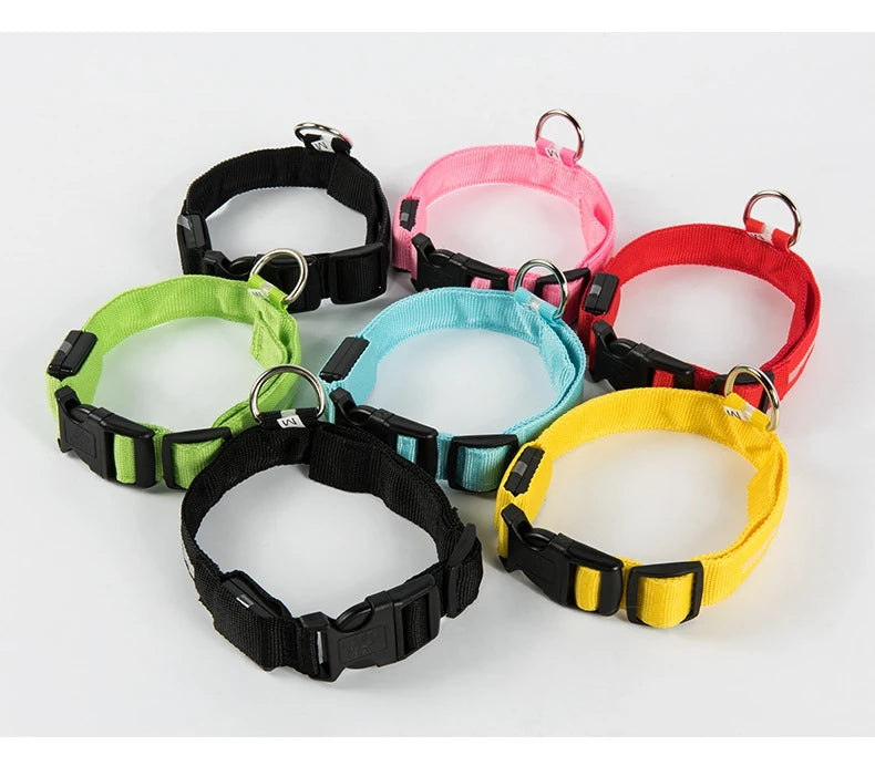 LED Glow-in-the-Dark Dog Collar & Leash | PuppyPaw™