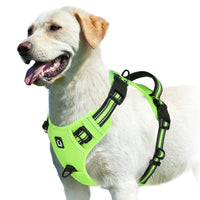 No-Pull Dog Vest Harness – Padded & Adjustable | PuppyPaw™