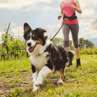 Hands-Free Dog Leash – Waist Belt Running Lead | PuppyPaw™