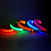 LED Glow-in-the-Dark Dog Collar & Leash | PuppyPaw™