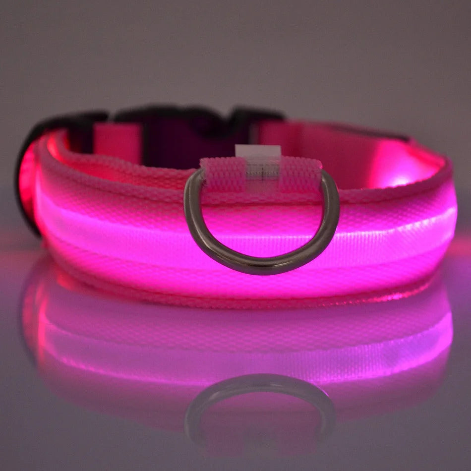 LED Glow-in-the-Dark Dog Collar & Leash | PuppyPaw™