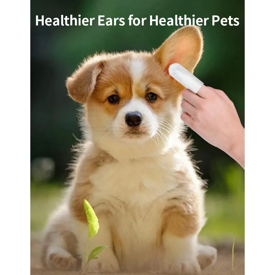 Pet Ear Cleaning Wipes – Fingertip Ear Mite Pads | PuppyPaw™