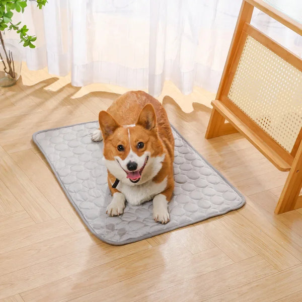 Cooling Ice Silk Pet Mat – Summer Sleeping Pad | PuppyPaw™
