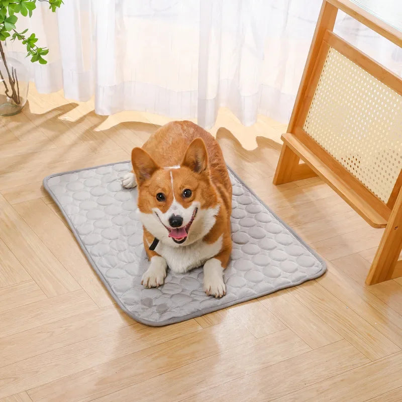 Cooling Ice Silk Pet Mat – Summer Sleeping Pad | PuppyPaw™