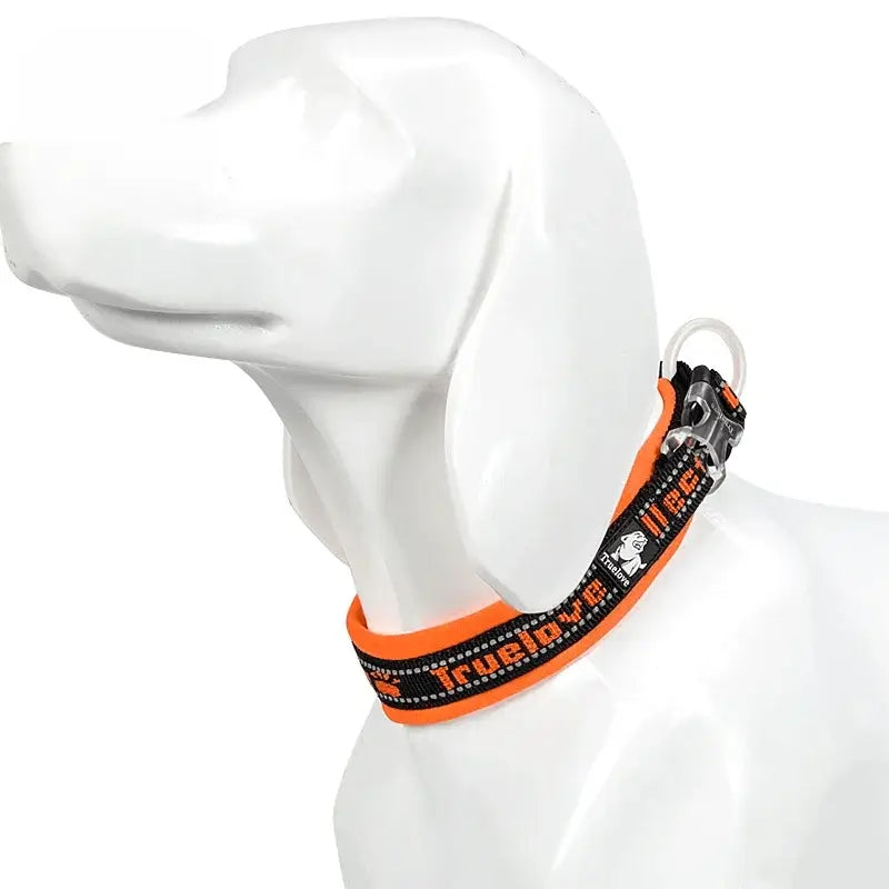 Reflective Nylon Dog & Cat Collar – Neoprene Padded | PuppyPaw™