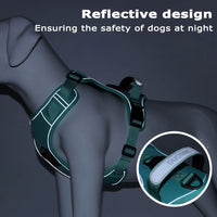 Tactical Dog Harness & Leash Set – AirTag Holder | PuppyPaw™