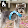 Step-In Dog Harness – Cooling Air-Mesh | PuppyPaw™