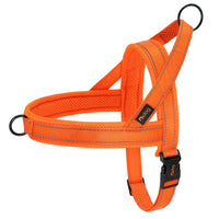 Padded Dog Harness Vest – Reflective Winter Warm | PuppyPaw™