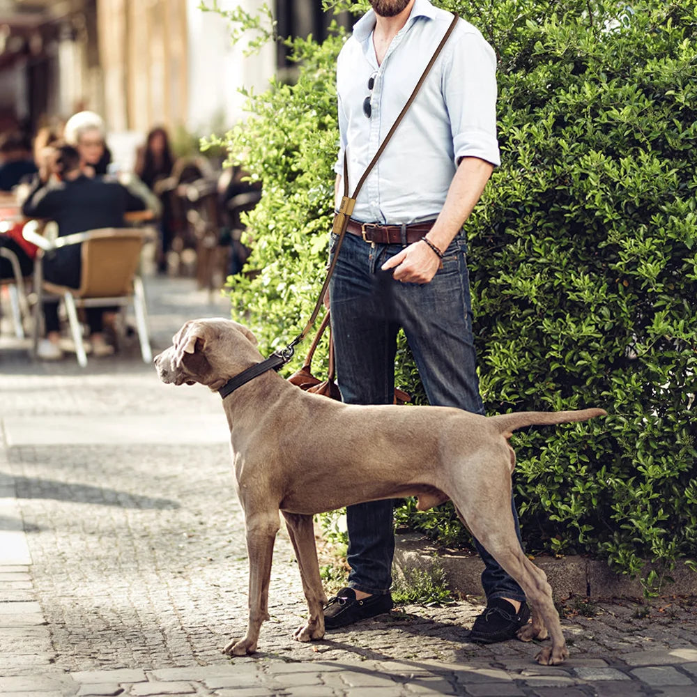 Hands-Free Dog Leash – Waist Belt Running Lead | PuppyPaw™