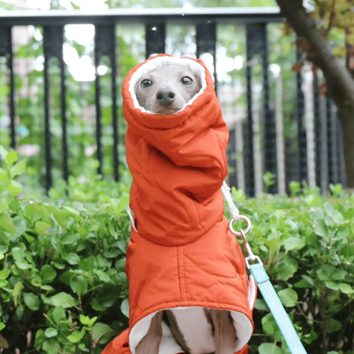 Winter Turtleneck Dog Coat – Waterproof Cotton | PuppyPaw™