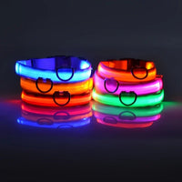 LED Glow-in-the-Dark Dog Collar & Leash | PuppyPaw™