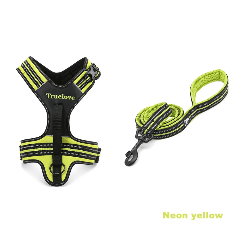 No-Pull Dog Harness & Leash Set – Padded Reflective | PuppyPaw™