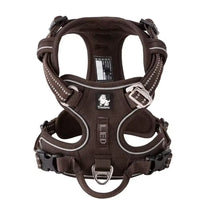No-Pull Reflective Dog Harness – Back Handle | PuppyPaw™