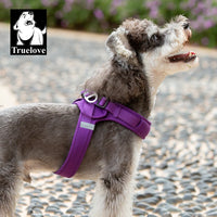 Step-In Dog Harness – Cooling Air-Mesh | PuppyPaw™