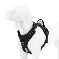 No-Pull Reflective Dog Harness – Back Handle | PuppyPaw™