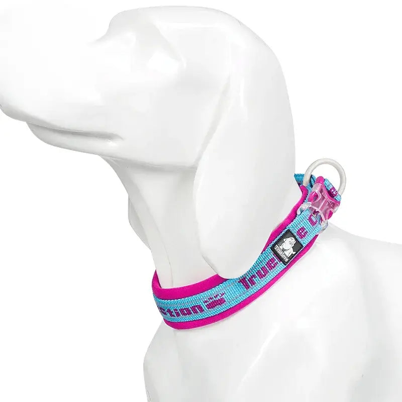 Reflective Nylon Dog & Cat Collar – Neoprene Padded | PuppyPaw™