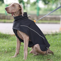 Waterproof Dog Jacket – Soft-Shell Fleece Lined | PuppyPaw™