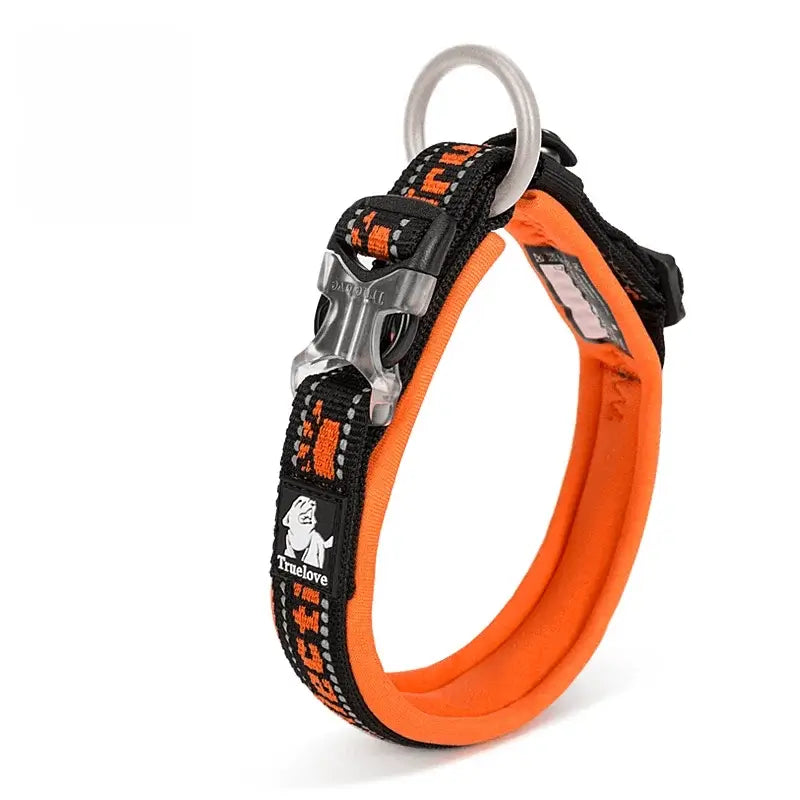 Reflective Nylon Dog & Cat Collar – Neoprene Padded | PuppyPaw™