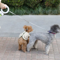 Retractable LED Dog Leash – Rechargeable USB-C | PuppyPaw™