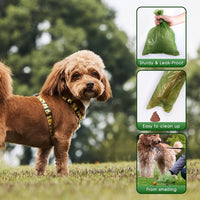 Biodegradable Dog Poop Bags – Eco-Friendly Multi-Pack | PuppyPaw™
