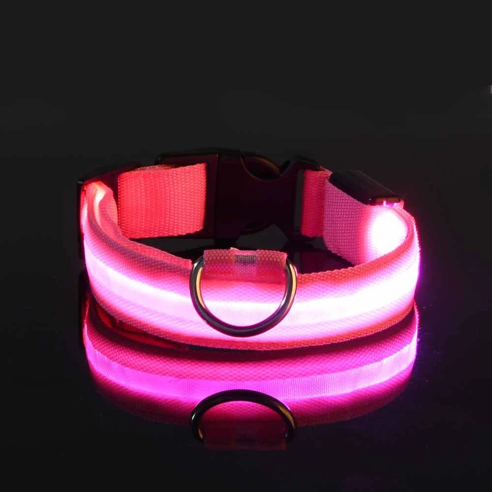 LED Glow-in-the-Dark Dog Collar & Leash | PuppyPaw™